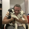 Роман, 37, г.Москва Роман, 37, г.Москва