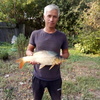 Саша, 45, г.Курск Саша, 45, г.Курск