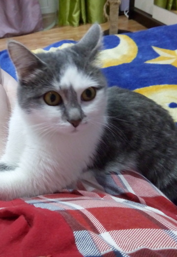 Любовь (@lubov69866) — моя фотография № 1