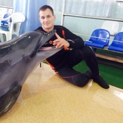 alex 41 Черноморское