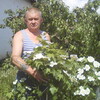 николай, 58, г.Черлак николай, 58, г.Черлак