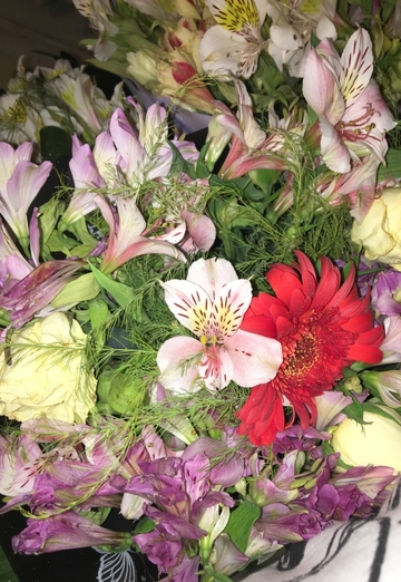 Лана (@lana37936) — моя фотография № 1