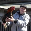 Николай, 55, г.Курск Николай, 55, г.Курск