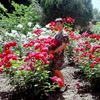 лика, 49, г.Гулькевичи лика, 49, г.Гулькевичи