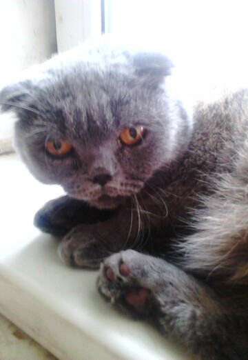 Леха (@leha28036) — моя фотография № 4